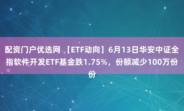 配资门户优选网 【ETF动向】6月13日华安中证全指软件开发ETF基金跌1.75%，份额减少100万份