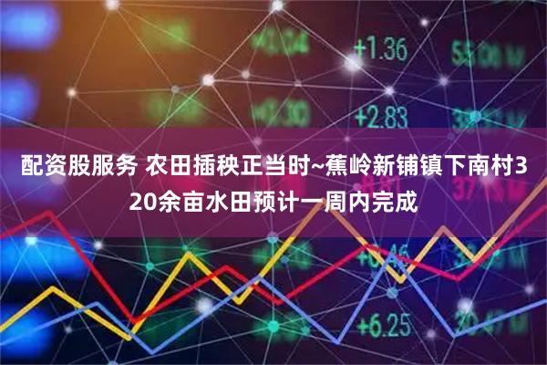 配资股服务 农田插秧正当时~蕉岭新铺镇下南村320余亩水田预计一周内完成