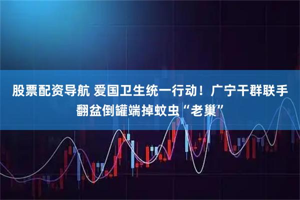 股票配资导航 爱国卫生统一行动！广宁干群联手翻盆倒罐端掉蚊虫“老巢”